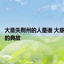大意失荆州的人是谁 大意失荆州的典故