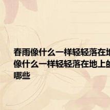 春雨像什么一样轻轻落在地上 春雨像什么一样轻轻落在地上的句子有哪些