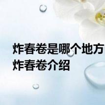 炸春卷是哪个地方的菜 炸春卷介绍