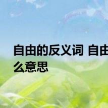 自由的反义词 自由是什么意思