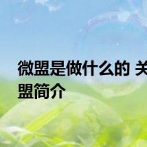 微盟是做什么的 关于微盟简介