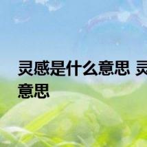 灵感是什么意思 灵感的意思