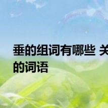 垂的组词有哪些 关于垂的词语