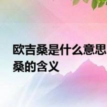 欧吉桑是什么意思 欧吉桑的含义