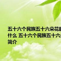 五十六个民族五十六朵花的歌词是什么 五十六个民族五十六朵花歌曲简介