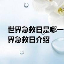世界急救日是哪一天 世界急救日介绍