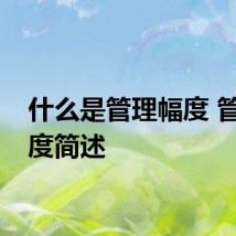 什么是管理幅度 管理幅度简述