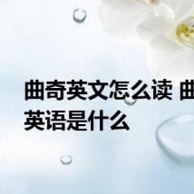 曲奇英文怎么读 曲奇的英语是什么