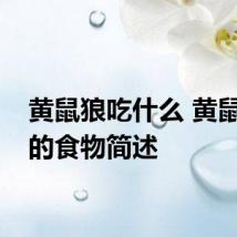 黄鼠狼吃什么 黄鼠狼吃的食物简述