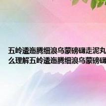 五岭逶迤腾细浪乌蒙磅礴走泥丸意思 怎么理解五岭逶迤腾细浪乌蒙磅礴走泥丸