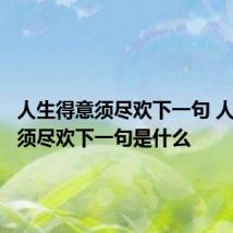人生得意须尽欢下一句 人生得意须尽欢下一句是什么