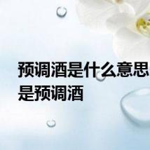 预调酒是什么意思 什么是预调酒