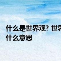 什么是世界观? 世界观是什么意思