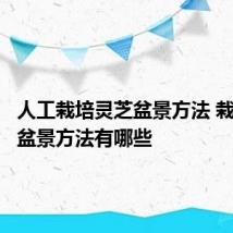 人工栽培灵芝盆景方法 栽培灵芝盆景方法有哪些