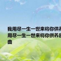 我用尽一生一世来将你供养歌词 我用尽一生一世来将你供养是什么歌曲
