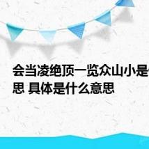 会当凌绝顶一览众山小是什么意思 具体是什么意思