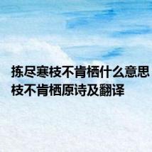 拣尽寒枝不肯栖什么意思 拣尽寒枝不肯栖原诗及翻译