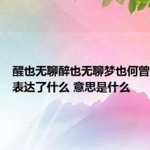 醒也无聊醉也无聊梦也何曾到谢桥表达了什么 意思是什么
