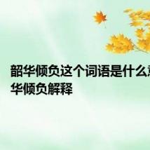 韶华倾负这个词语是什么意思 韶华倾负解释