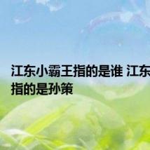 江东小霸王指的是谁 江东小霸王指的是孙策