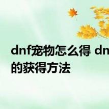 dnf宠物怎么得 dnf宠物的获得方法