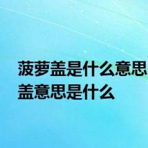 菠萝盖是什么意思 菠萝盖意思是什么