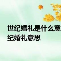 世纪婚礼是什么意思 世纪婚礼意思