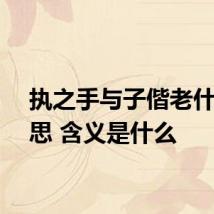 执之手与子偕老什么意思 含义是什么