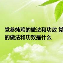 党参炖鸡的做法和功效 党参炖鸡的做法和功效是什么
