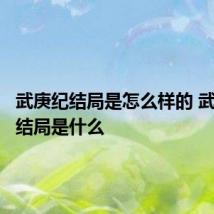 武庚纪结局是怎么样的 武庚纪大结局是什么