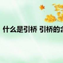 什么是引桥 引桥的含义