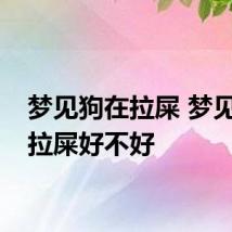 梦见狗在拉屎 梦见狗在拉屎好不好