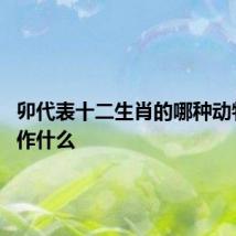 卯代表十二生肖的哪种动物 卯读作什么