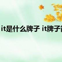 it是什么牌子 it牌子简述