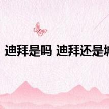 迪拜是吗 迪拜还是城市