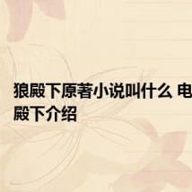 狼殿下原著小说叫什么 电视剧狼殿下介绍