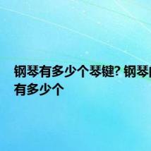 钢琴有多少个琴键? 钢琴的琴键有多少个