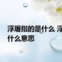 浮屠指的是什么 浮屠是什么意思