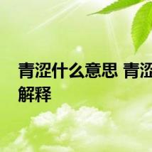 青涩什么意思 青涩词语解释