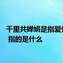 千里共婵娟是指爱情吗？ 指的是什么