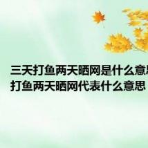 三天打鱼两天晒网是什么意思 三天打鱼两天晒网代表什么意思