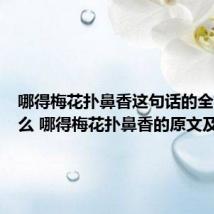 哪得梅花扑鼻香这句话的全文是什么 哪得梅花扑鼻香的原文及翻译