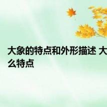大象的特点和外形描述 大象有什么特点