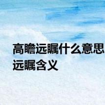高瞻远瞩什么意思 高瞻远瞩含义