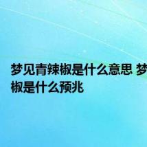 梦见青辣椒是什么意思 梦见青辣椒是什么预兆