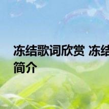 冻结歌词欣赏 冻结歌曲简介