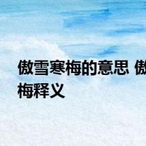 傲雪寒梅的意思 傲雪寒梅释义