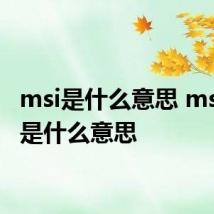 msi是什么意思 msi到底是什么意思
