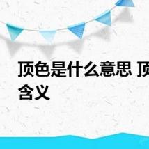 顶色是什么意思 顶色的含义