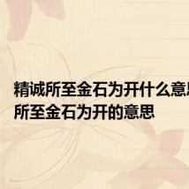 精诚所至金石为开什么意思 精诚所至金石为开的意思